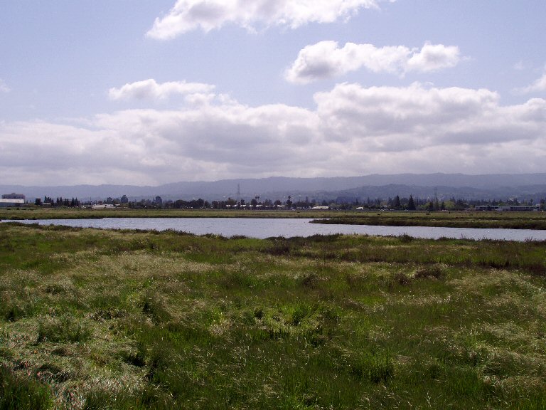 grassland and marsh