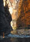 Zion canyon creek walk