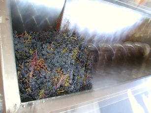 spiral conveyer that crushes and destems wine grapes