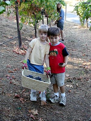 two children holding a basket of grapes in a vineyard