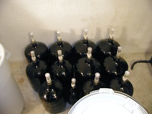 bottles of wine fermenting