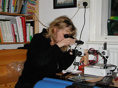 Woman at stereo microscope looking at a moth