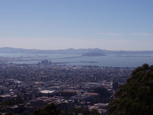 berkeley and san francisco bay view from a hill top