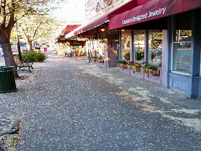 snow in downtown saratoga california, really cherry blossom leaves piled in the street