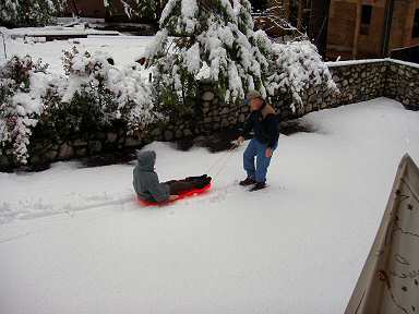 being pulled on a red sled in snow