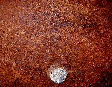 Close up of a rusty tank with a corroded plug