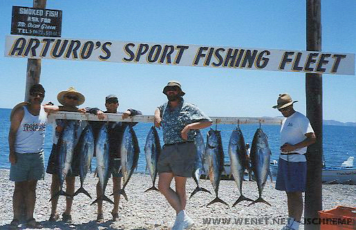 nine tuna with the fishermen. Arturo's, Loreto, Baja California, Mexico