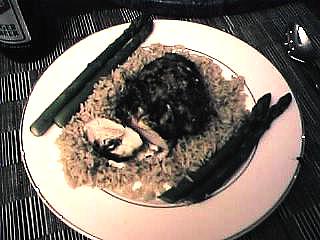 meal.jpg (19736 bytes)