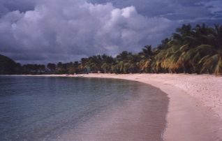 salt whistle bay picture of a pure tropical beach